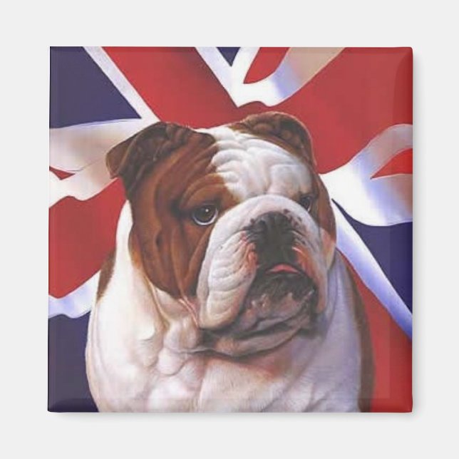 British Bull Dog Magnet (Front)