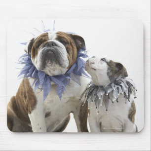 British bulldog and puppy wearing jester collar, mouse mat