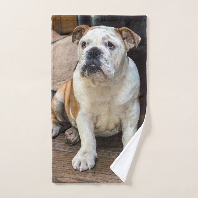 British Bulldog puppy Hand Towel (Hand Towel)