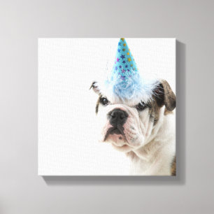 British Bulldog Puppy Wearing A Party Hat Canvas Print