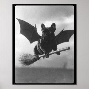 British Bulldog Witch Broom Bat Wings Spooky Poster