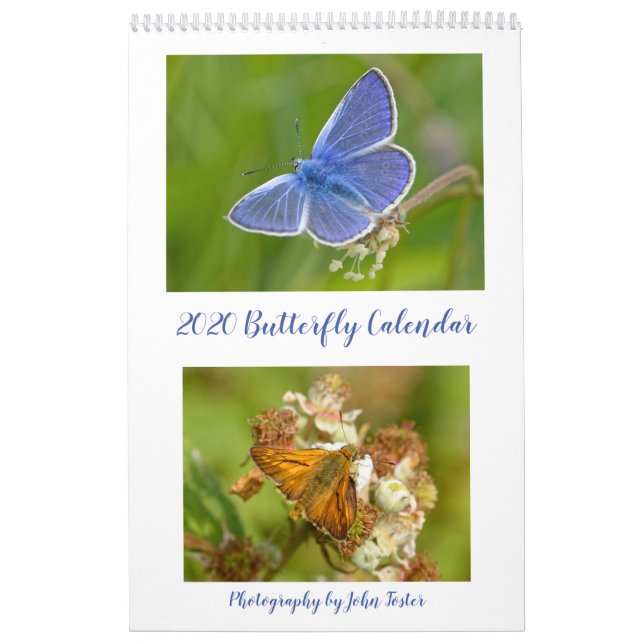British Butterflies 2020 Calendar (Cover)