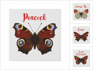British Butterflies Canvas
