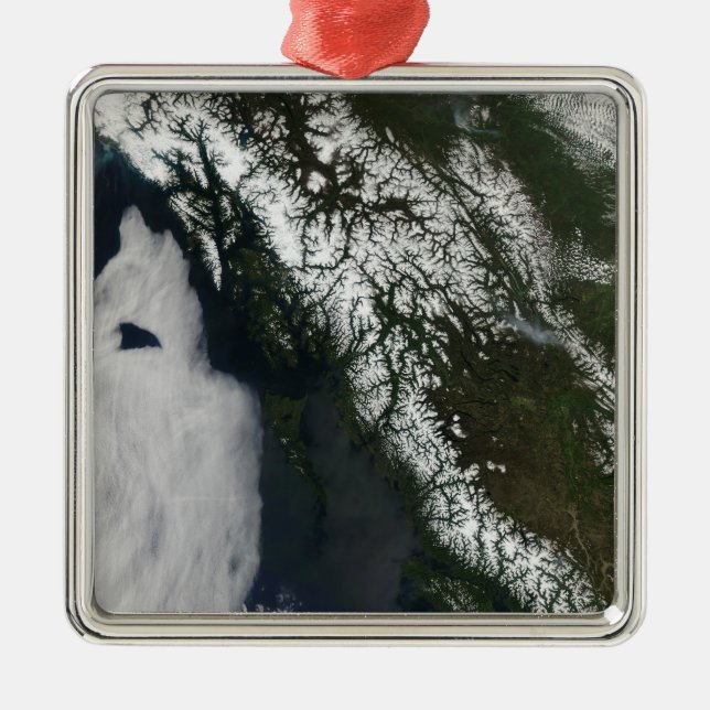 British Columbia Metal Tree Decoration (Front)