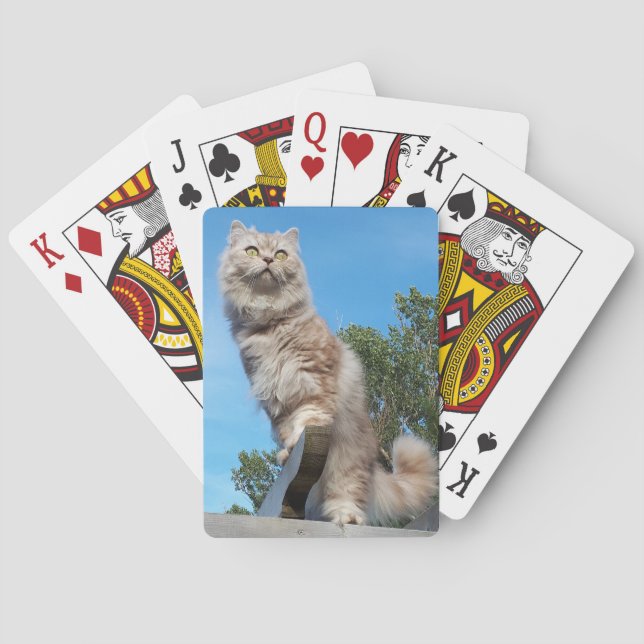 British Longhair Cat - Chocolate, Silver Tabby Playing Cards (Back)