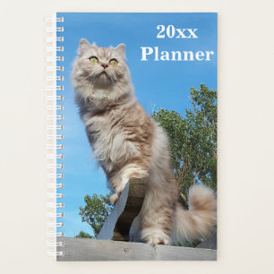 British Longhair Cat Yearly Planner - Small