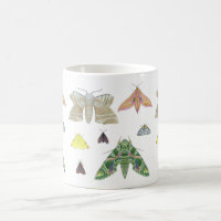 British Moths Mug