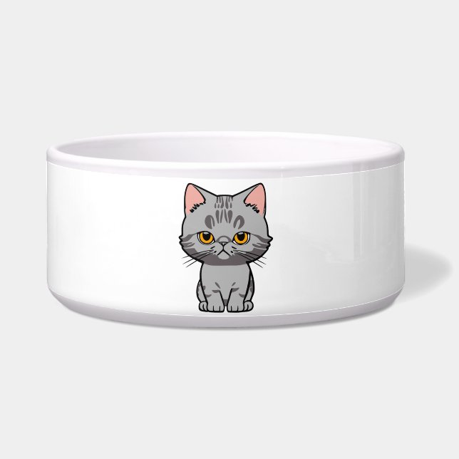 British Shorthair (Front)