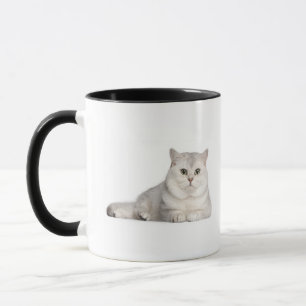 British Shorthair (2 years old) lying in front Mug