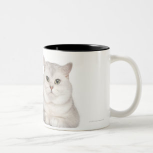 British Shorthair (2 years old) lying in front Two-Tone Coffee Mug