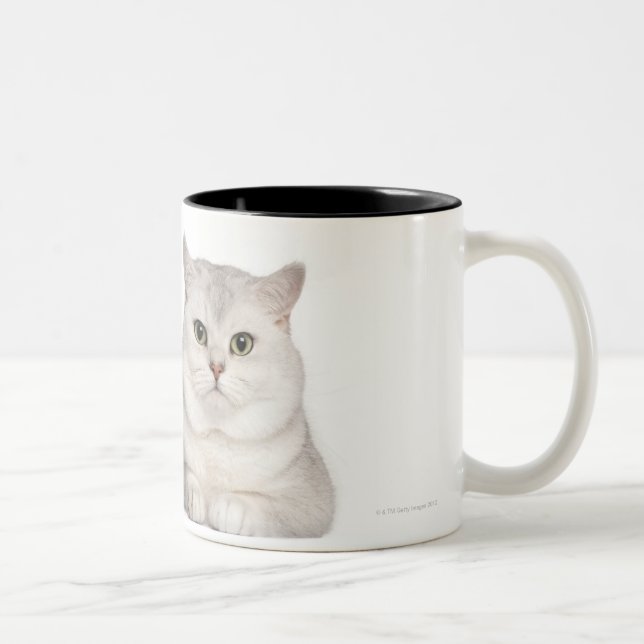 British Shorthair (2 years old) lying in front Two-Tone Coffee Mug (Right)