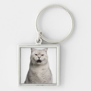 British Shorthair (4 years old) Key Ring