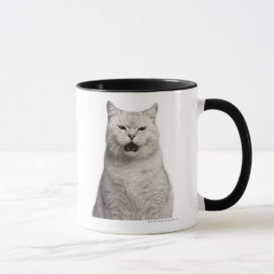 British Shorthair (4 years old) Mug