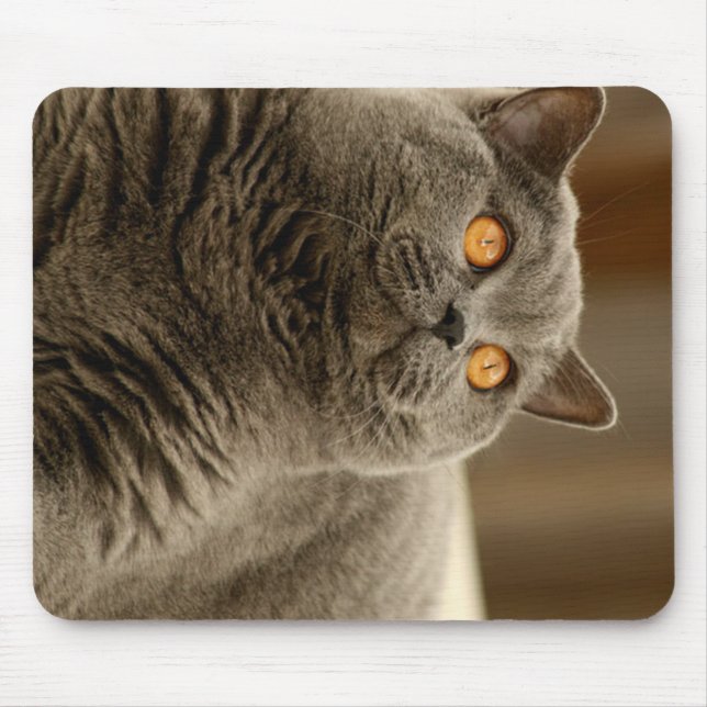 british shorthair blue mouse mat (Front)