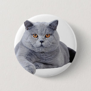 British shorthair cat 6 cm round badge