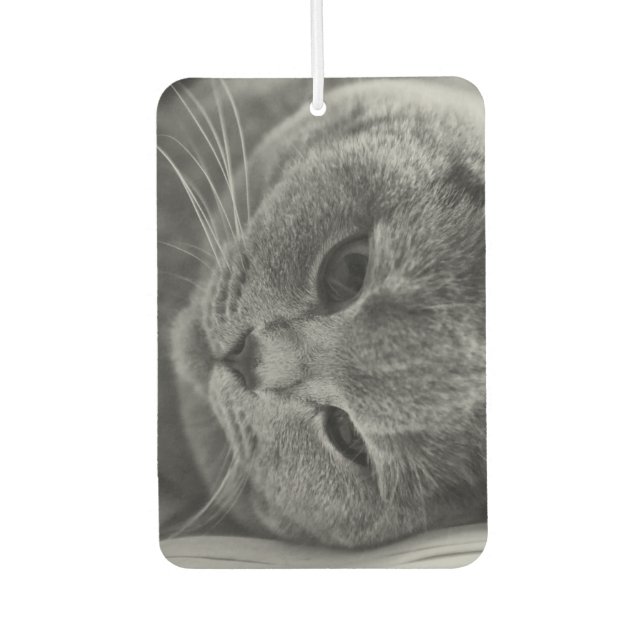 British Shorthair Cat Car Air Freshener (Front)