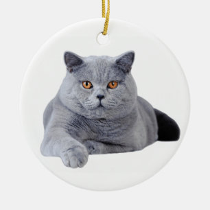 British shorthair cat ceramic tree decoration