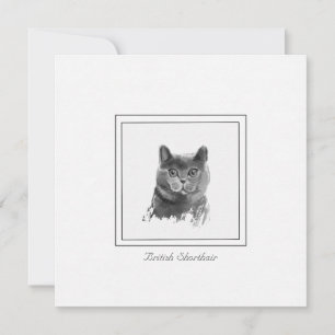 British Shorthair Cat Charcoal Drawing Card