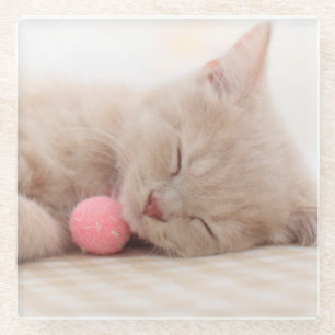 British Shorthair Cat Glass Coaster