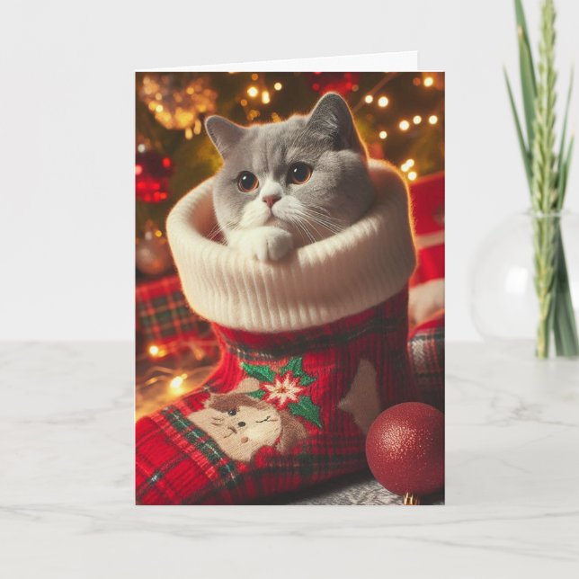 British Shorthair Cat in a Stocking Christmas Card (Front)