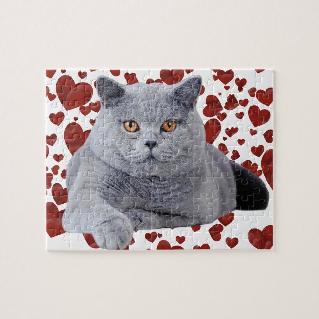 British shorthair cat jigsaw puzzle (Horizontal)