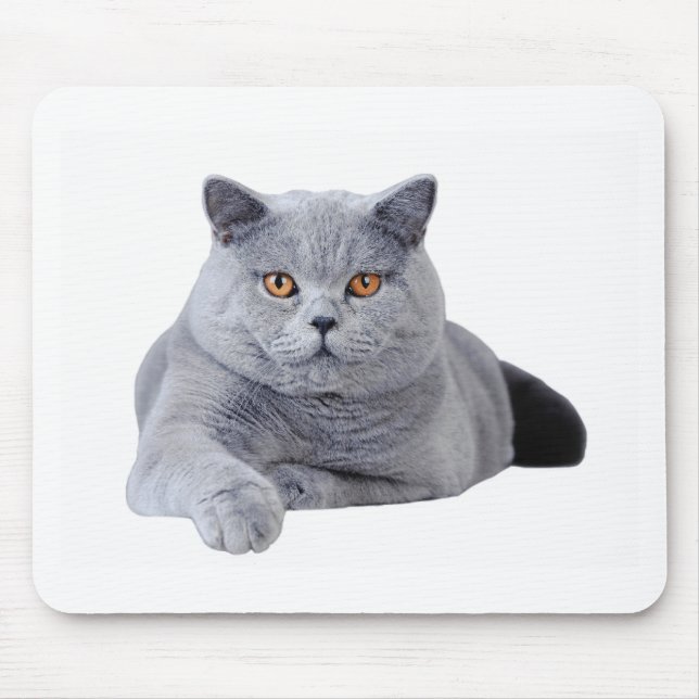 British shorthair cat mouse mat (Front)