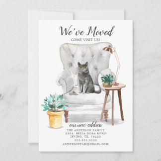 British Shorthair Cat Moving Announcement