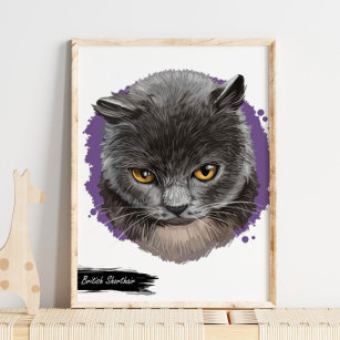British Shorthair Cat Print   Cat Wall Print