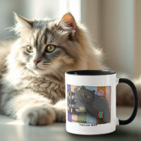British Shorthair Cat Sandals Beach Ready Funny