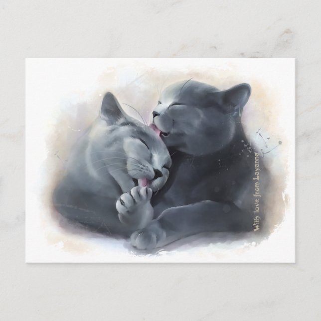 British Shorthair cats Postcard (Front)