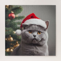British Shorthair Christmas