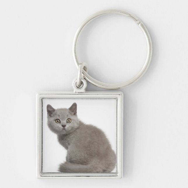 British Shorthair Kitten (10 weeks old) Key Ring (Front)