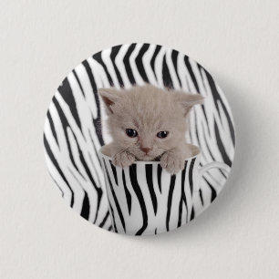 British shorthair kitten in mug 6 cm round badge