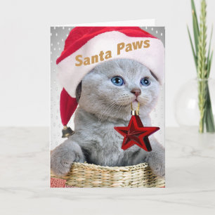 British Shorthair Kitten Santa Paws Holiday Card