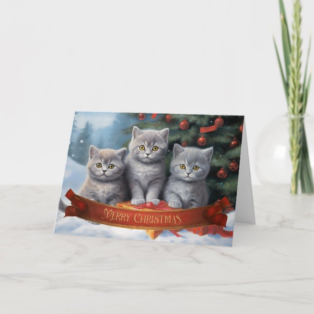 British shorthair kittens christmas card (Front)