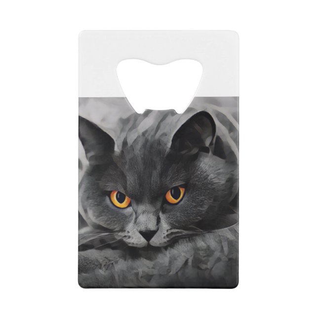 British Shorthair Kitty (Front)