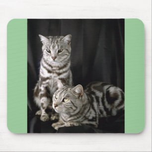 British Shorthair, silver tabby Mouse Mat