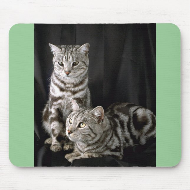 British Shorthair, silver tabby Mouse Mat (Front)