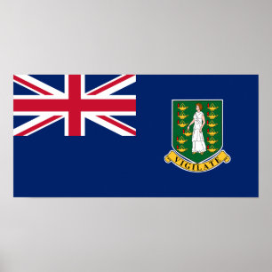 British Virgin Islands Flag Poster