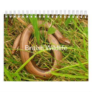 British Wildlife Calendar