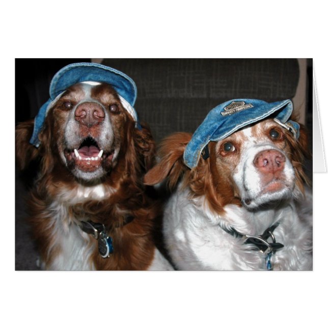 BRITS IN HATS (Front Horizontal)