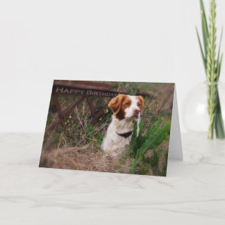 Brittany Birthday Card