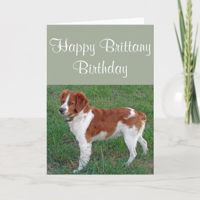 Brittany Birthday Card (Front)
