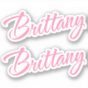 Brittany Decorative Name in Pink x2 Sticker