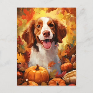 Brittany dog Autumn Thanksgiving  Postcard