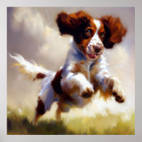 Brittany Dog 