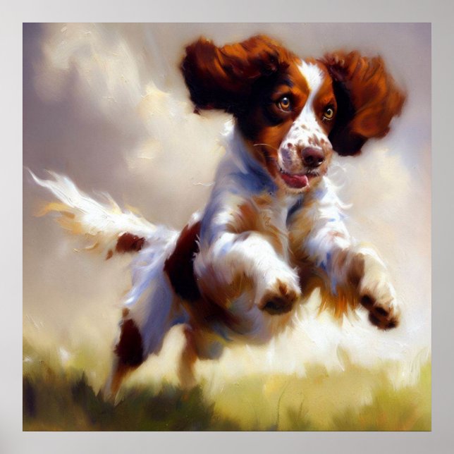 Brittany Dog  Poster (Front)