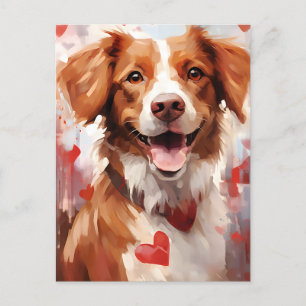 Brittany dog Valentines day Postcard