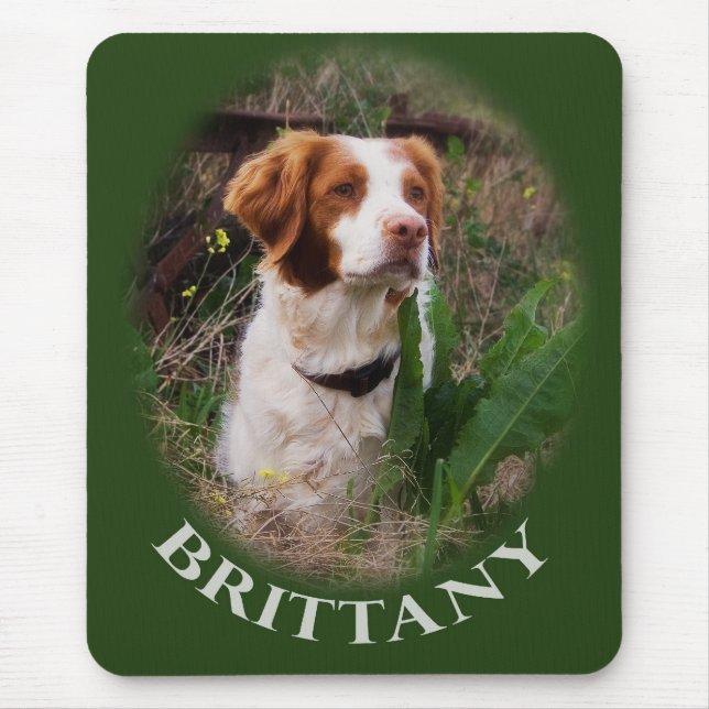 Brittany Mouse Mat (Front)