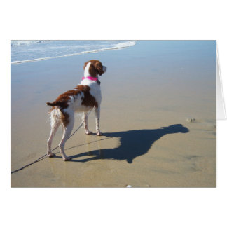 BRITTANY ON THE BEACH